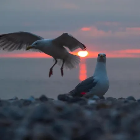 Chez Laeti Type F2 Fecamp