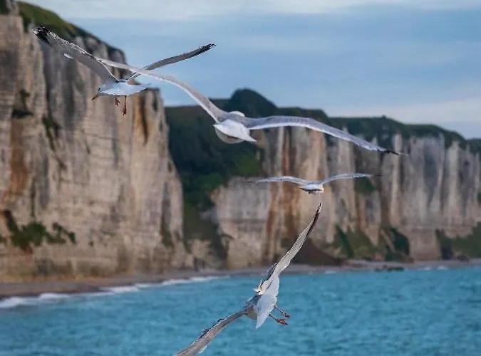 Apartment Chez Laeti Type F2